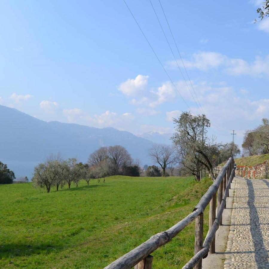 Willa La Cascina Della Vigna Del Viandante Abbadia Lariana Zewnętrze zdjęcie